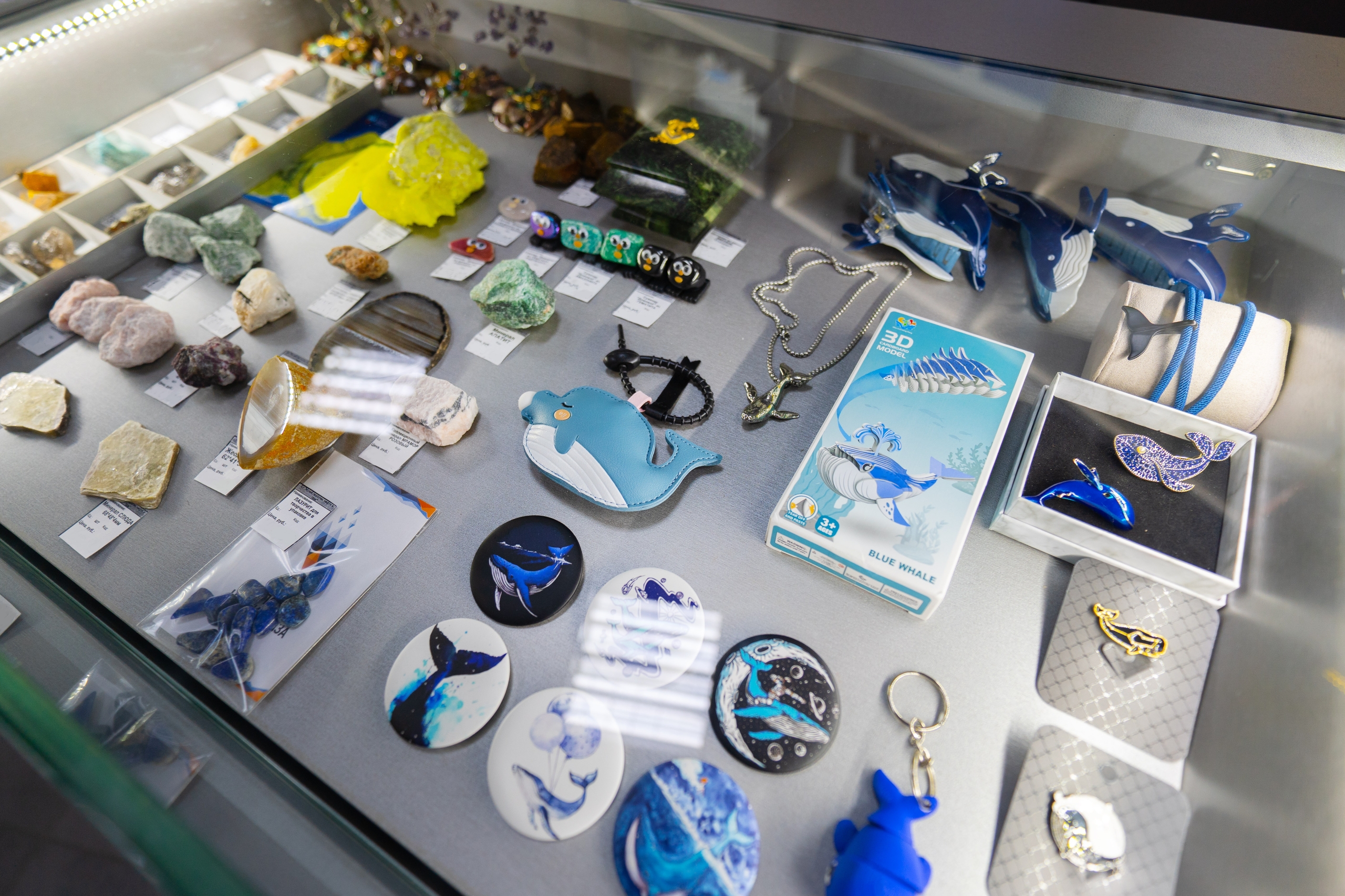 Киты в сувенирной лавке