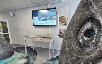 Выставка «От китов до керосина» в школе №2.