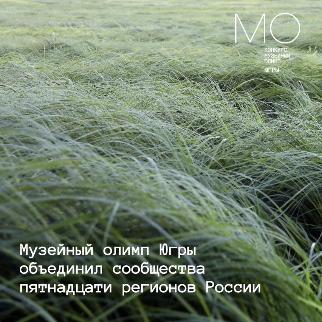 Итоги заявочной кампании «Музейного олимпа» ﻿