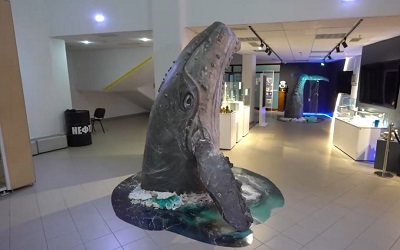 Приглашаем на выставки