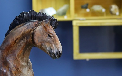 Открыли выставку к юбилеям РГО