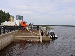 Поддержали экоакцию по выпуску осетров