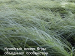 Итоги заявочной кампании «Музейного олимпа» ﻿