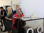 Стали местом притяжения гостей из Европы